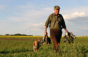 Pigeon_shooting_109