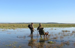 wildfowling_scroller