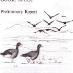 Cover page greenland white-fronted goose 1979 expedition report