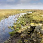 Burn Leading Into Saltmarsh at RSPB Crook of Baldoon