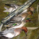 Wigeon and shotgun - credit Rob Douglas