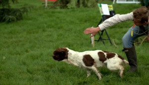 Josh and Molly in action