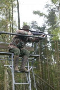 Taking aim with rifle from high seat