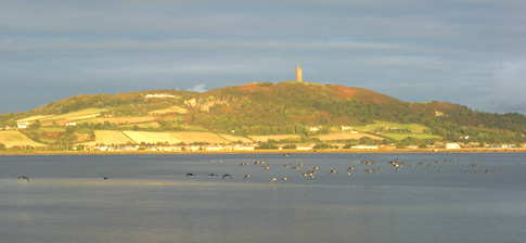 scrabo-tower8