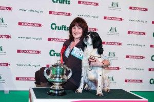 Crufts-winner-for-web