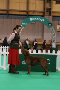 Crufts_2015-3440