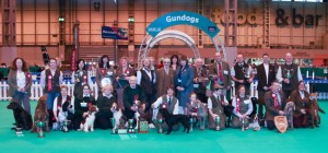 Crufts_2015-3638