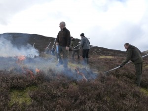 Muirburn 2