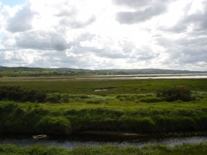 ballykelly marsh 008